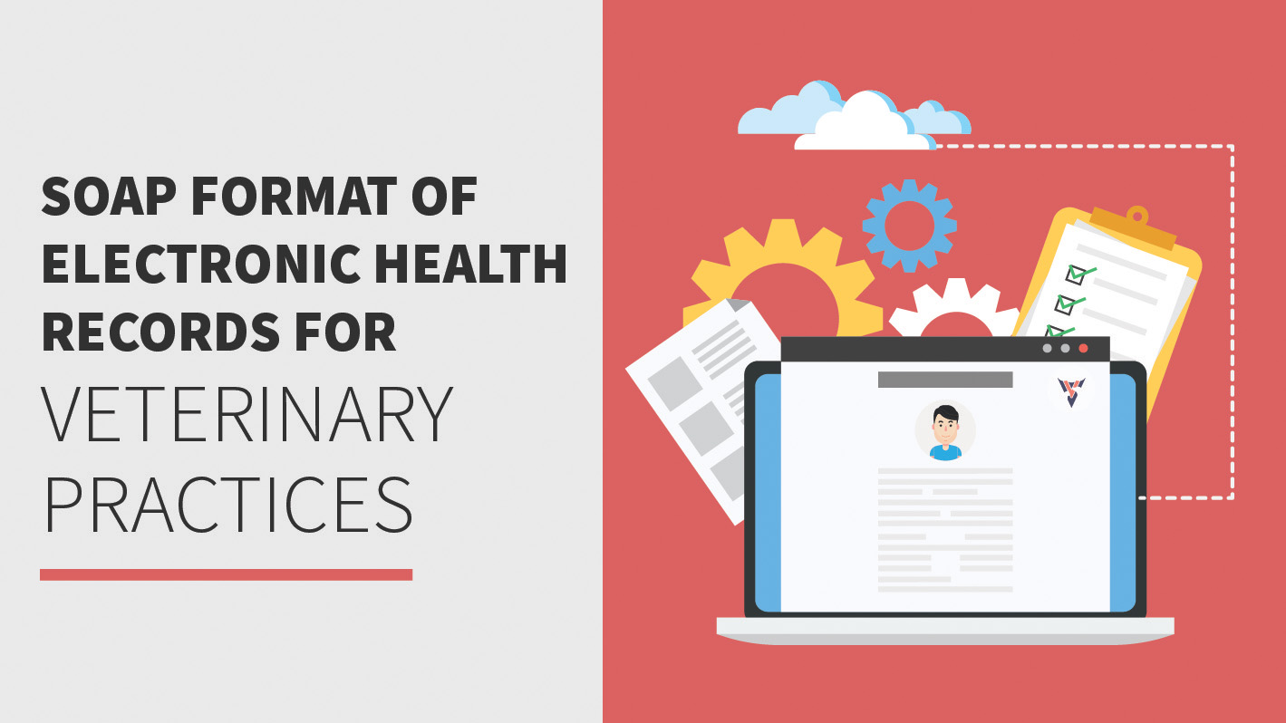 SOAP format of electronic health records (emrs) for veterinary practices